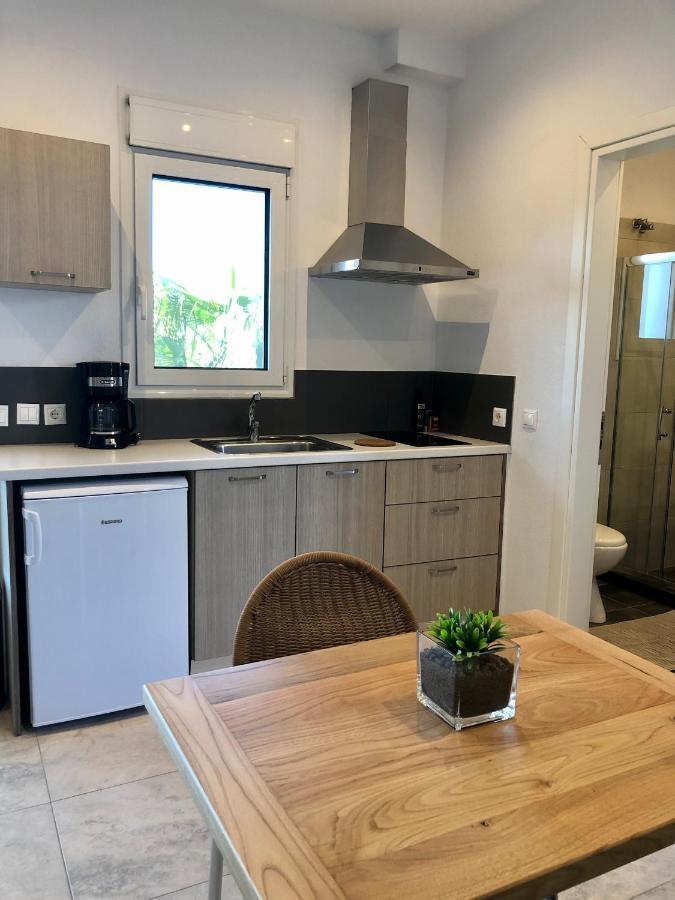 Vanessa House Luxury Apartments スキアトスタウン エクステリア 写真
